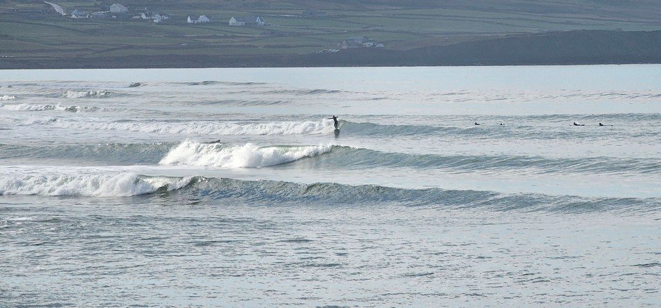 Longboarder riding a wave at Cornish Point